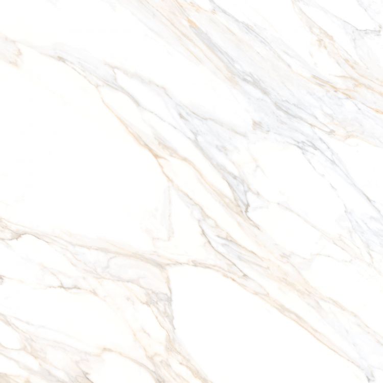 Aurum Calacatta Polished 48 x 48